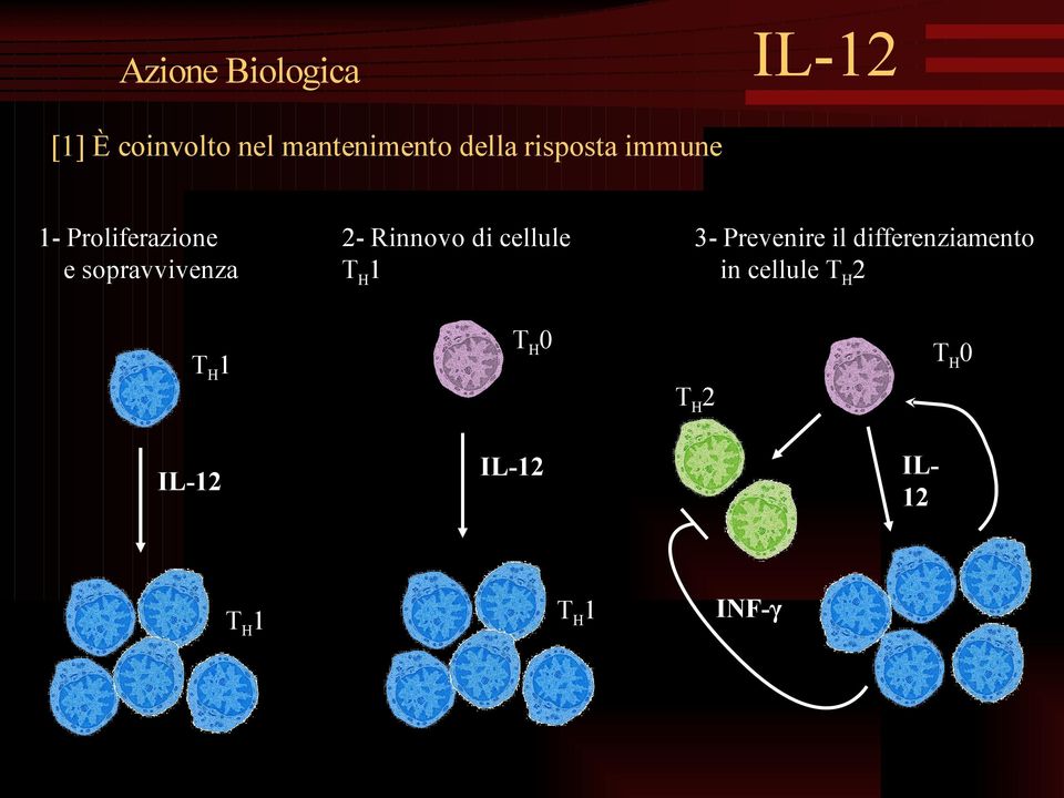 TH1 2- Rinnovo di cellule TH1 3- Prevenire il