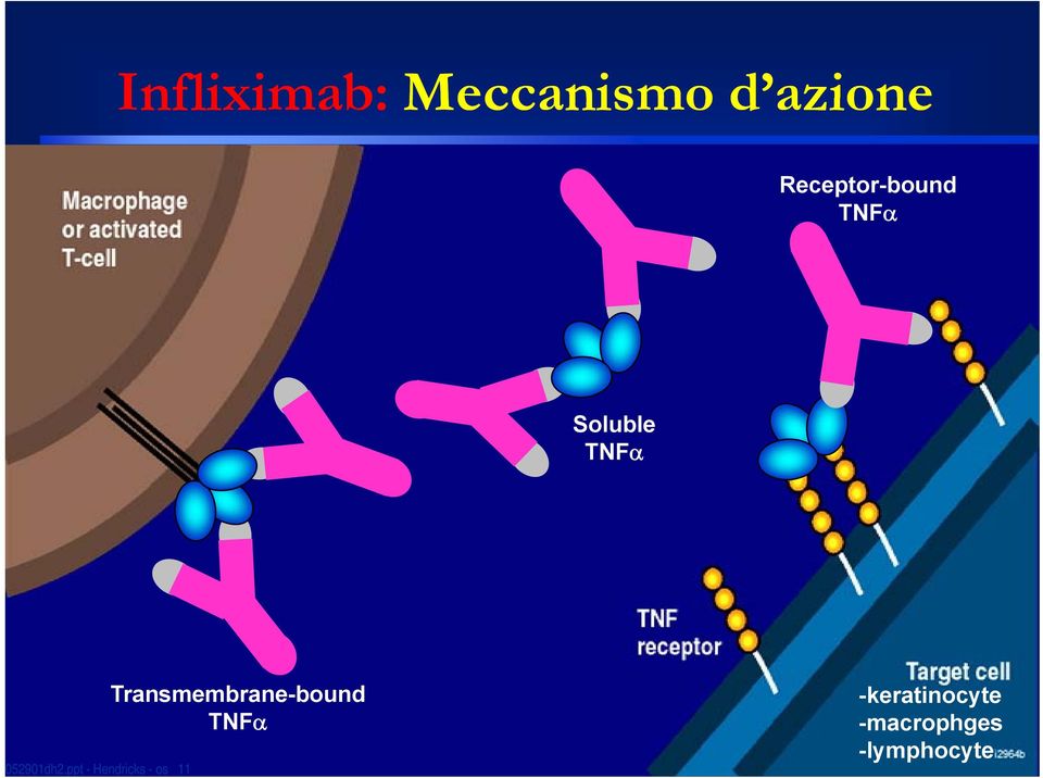 ppt - Hendricks - os 11