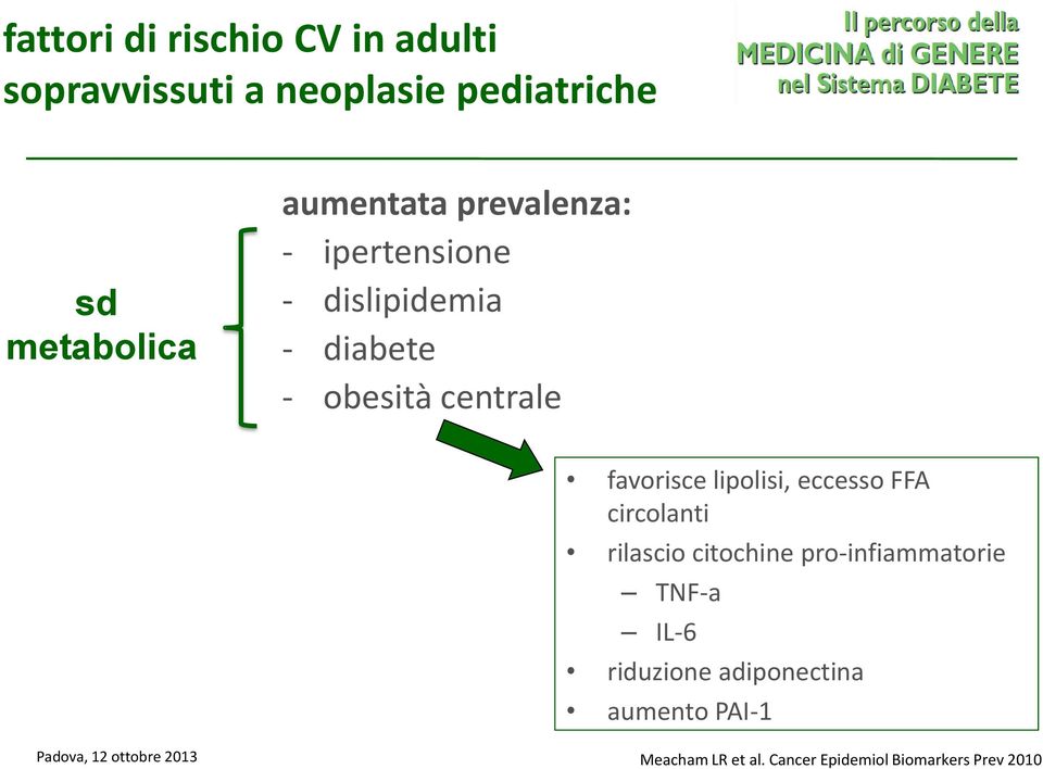 favorisce lipolisi, eccesso FFA circolanti rilascio citochine pro-infiammatorie TNF-a