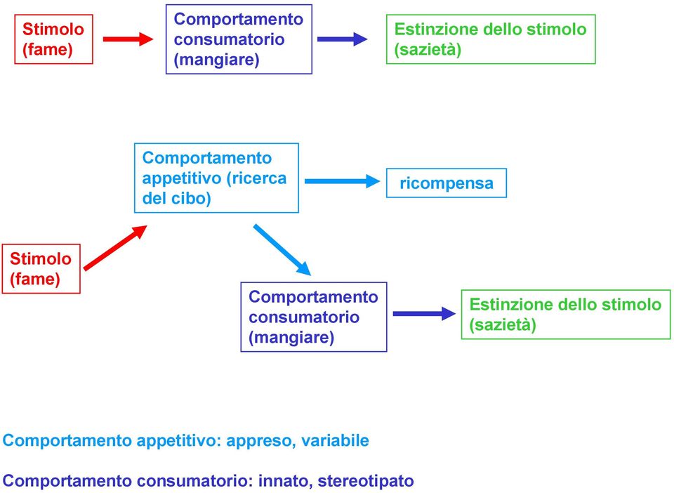 Comportamento appetitivo: appreso, variabile Comportamento consumatorio: innato,