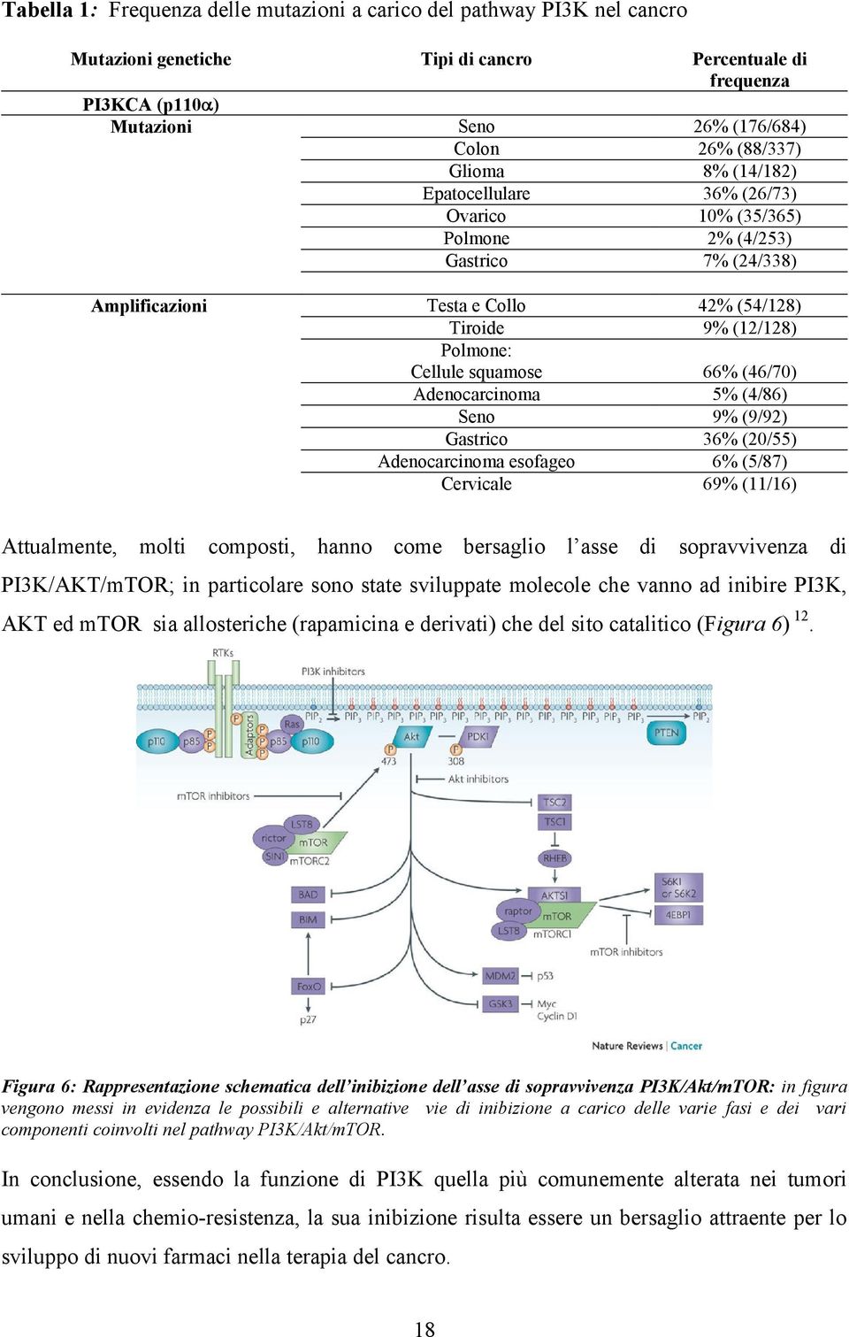 (46/70) Adenocarcinoma 5% (4/86) Seno 9% (9/92) Gastrico 36% (20/55) Adenocarcinoma esofageo 6% (5/87) Cervicale 69% (11/16) Attualmente, molti composti, hanno come bersaglio l asse di sopravvivenza