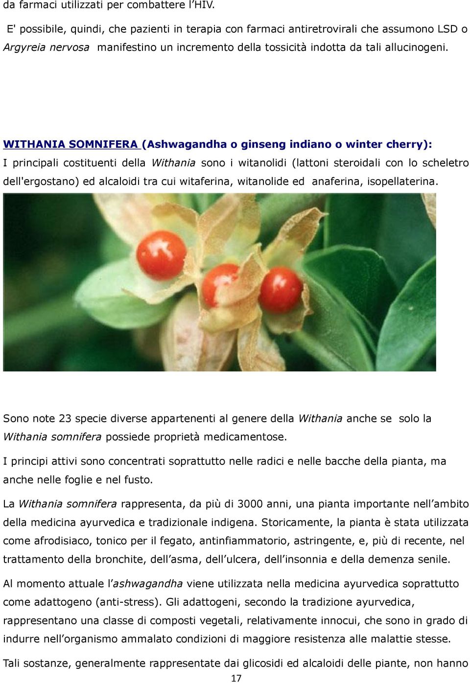 WITHANIA SOMNIFERA (Ashwagandha o ginseng indiano o winter cherry): I principali costituenti della Withania sono i witanolidi (lattoni steroidali con lo scheletro dell'ergostano) ed alcaloidi tra cui