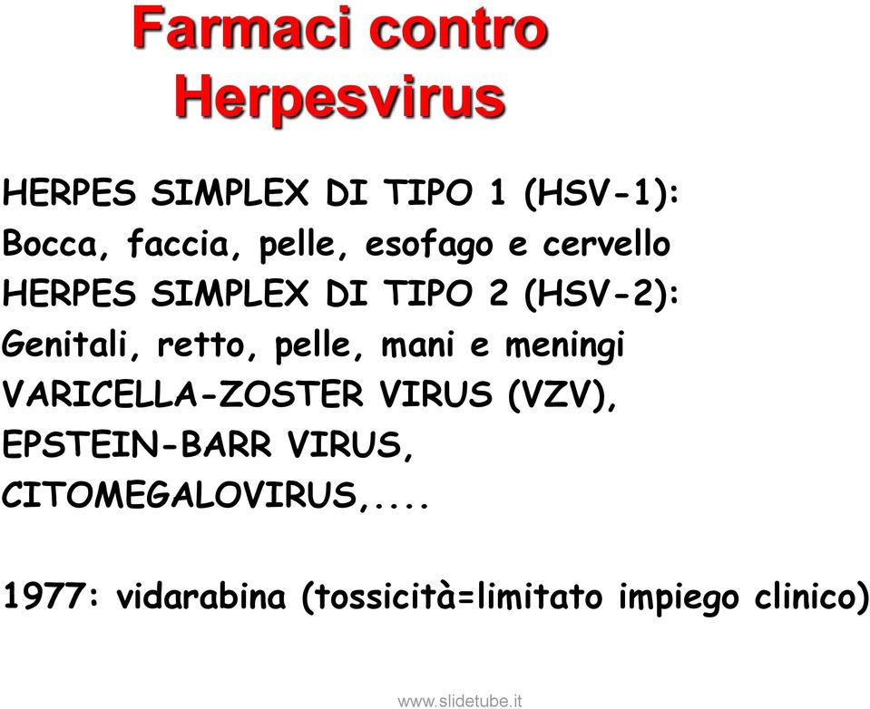 Genitali, retto, pelle, mani e meningi VARICELLA-ZOSTER VIRUS (VZV),