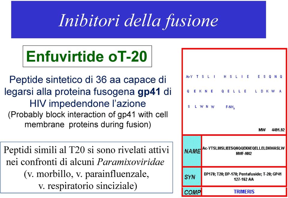 cell membrane proteins during fusion) Peptidi simili al T20 si sono rivelati attivi nei