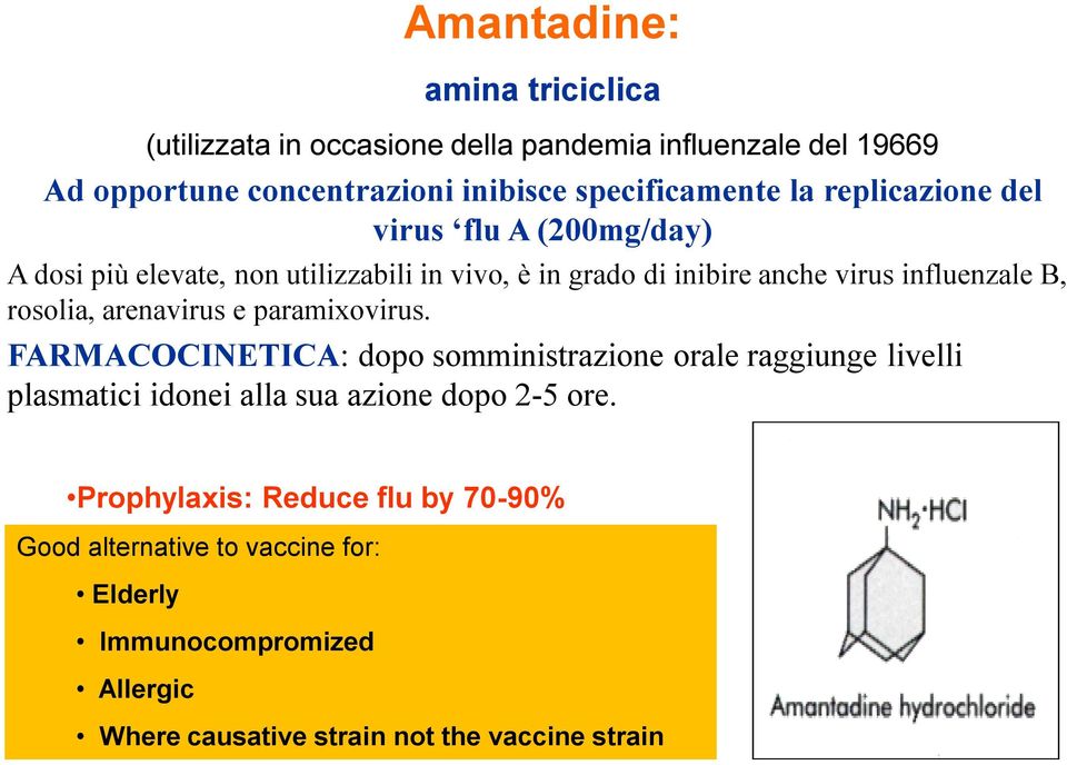 rosolia, arenavirus e paramixovirus.