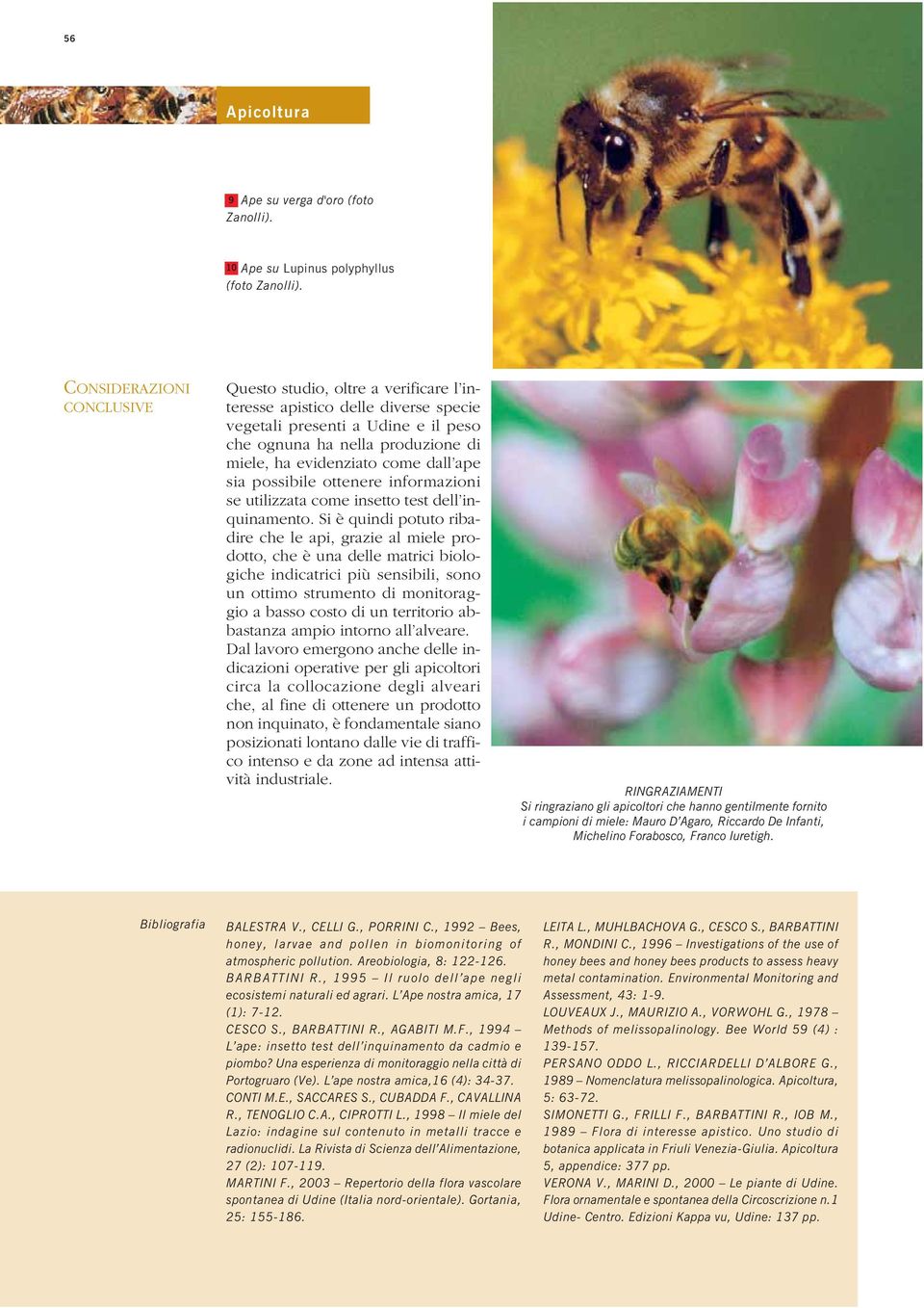 dall ape sia possibile ottenere informazioni se utilizzata come insetto test dell inquinamento.