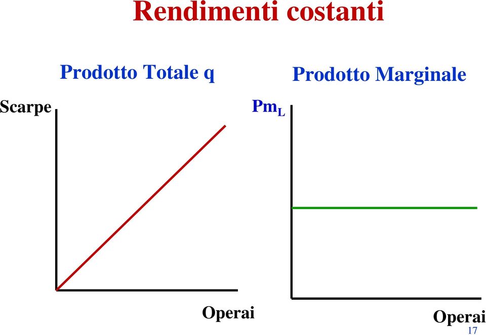 Totale q Pm L