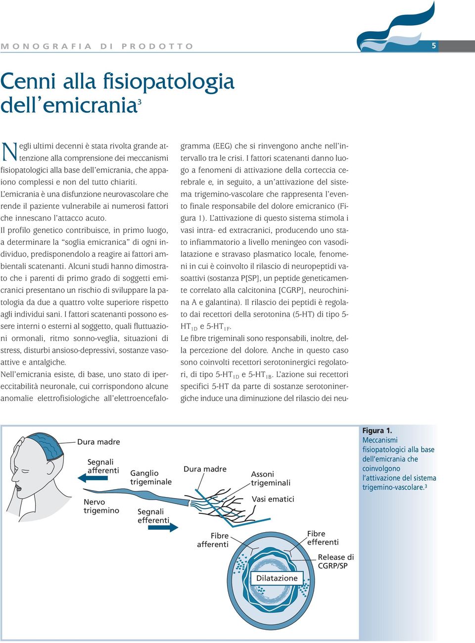 Il profilo genetico contribuisce, in primo luogo, a determinare la soglia emicranica di ogni individuo, predisponendolo a reagire ai fattori ambientali scatenanti.