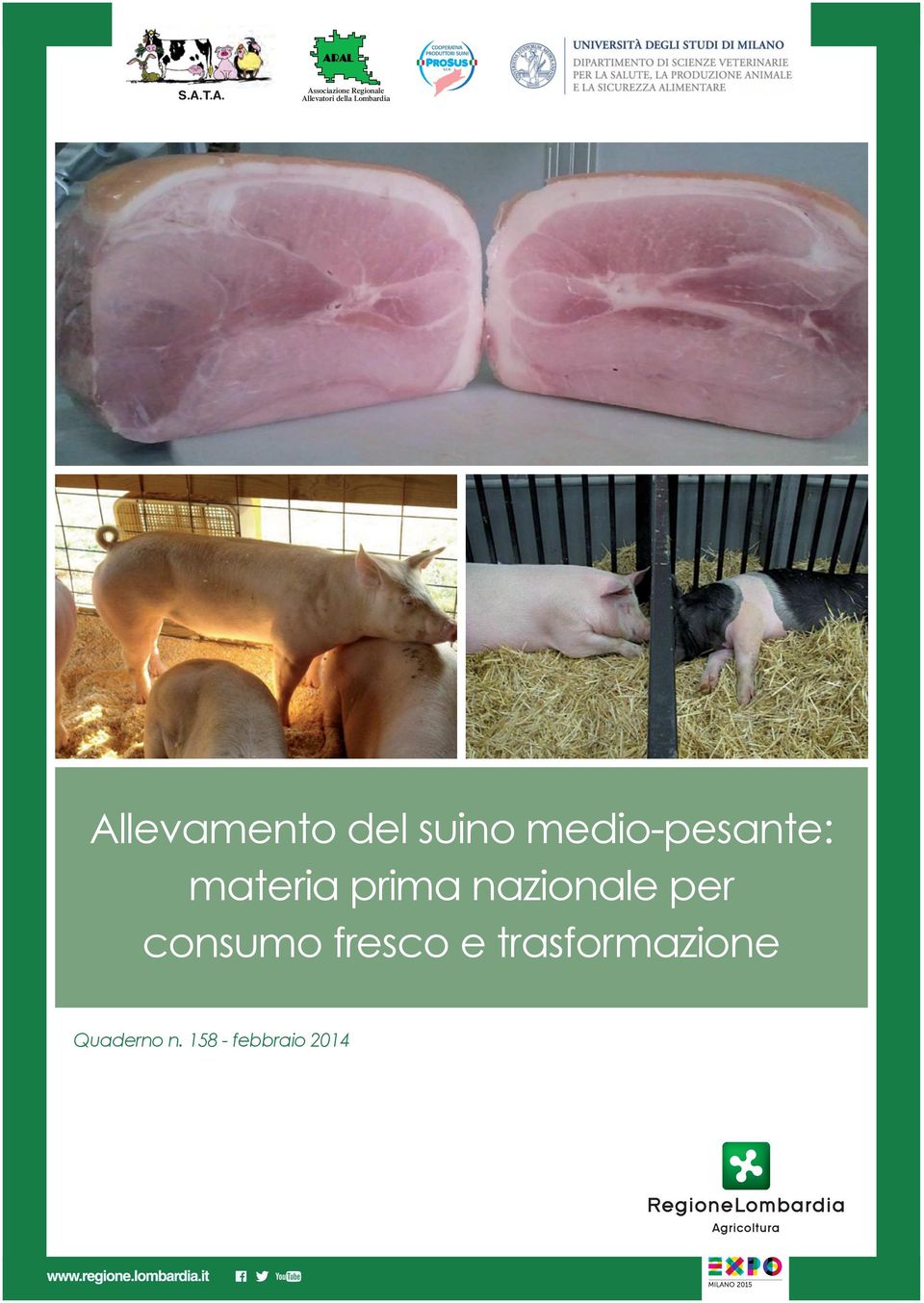 medio-pesante: materia prima nazionale per consumo fresco e trasformazione