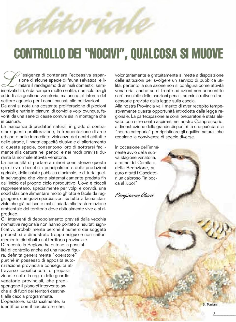 Da anni si nota una costante proliferazione di piccioni torraioli e nutrie in pianura, di corvidi e volpi ovunque, favoriti da una serie di cause comuni sia in montagna che in pianura.