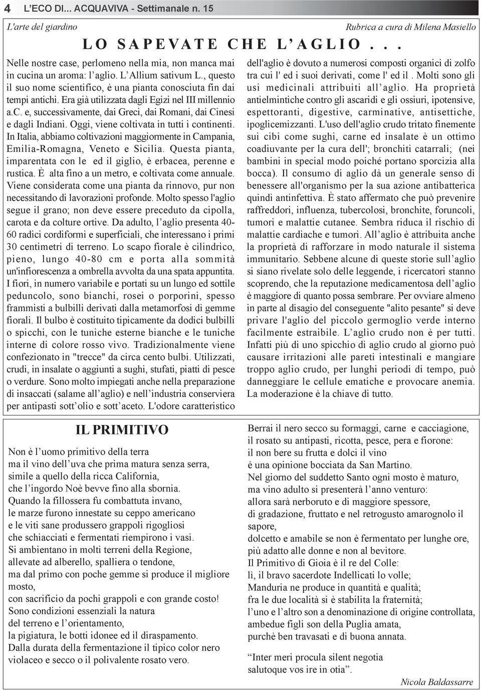 Oggi, viene coltivata in tutti i continenti. In Italia, abbiamo coltivazioni maggiormente in Campania, Emilia-Romagna, Veneto e Sicilia.