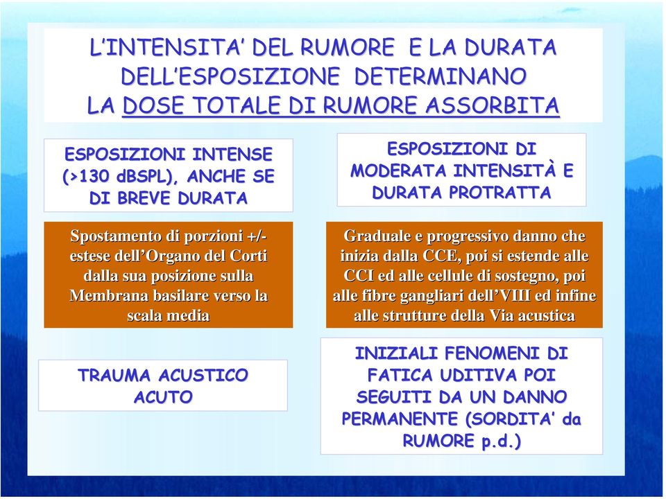 ESPOSIZIONI DI MODERATA INTENSITÀ E DURATA PROTRATTA Graduale e progressivo danno che inizia dalla CCE, poi si estende alle CCI ed alle cellule di sostegno, poi