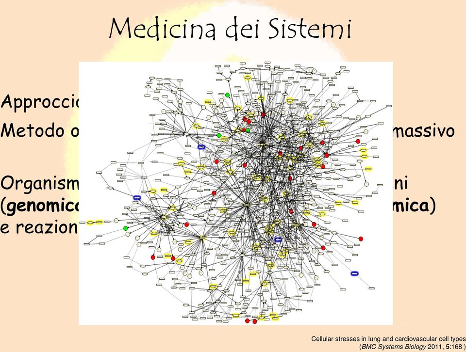 (genomica e trascrittomica), proteine (proteomica) e reazioni biochimiche