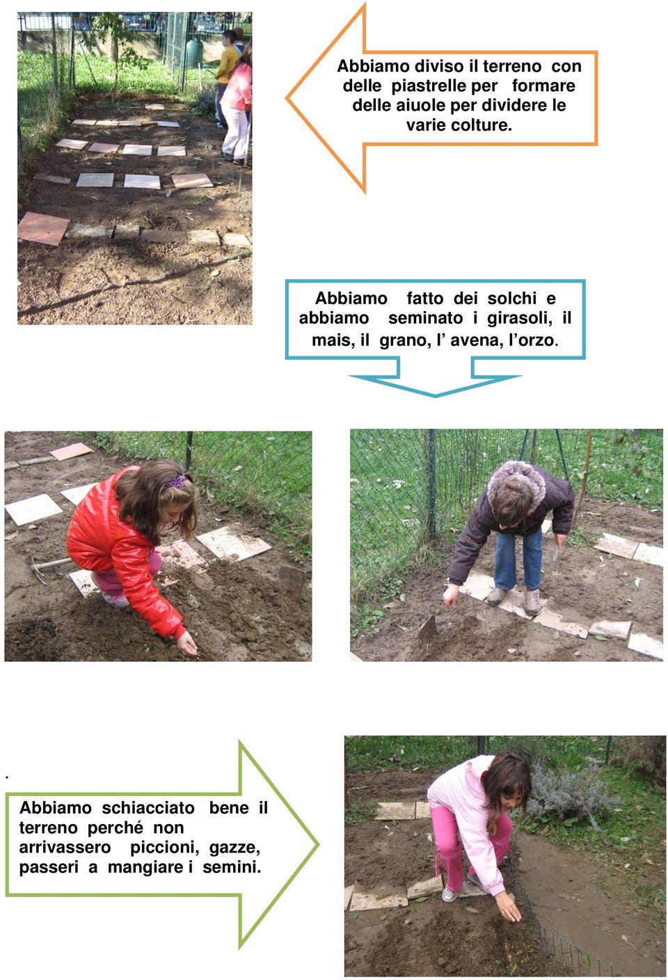 Abbiamo fatto dei solchi e abbiamo seminato i girasoli, il mais, il grano,