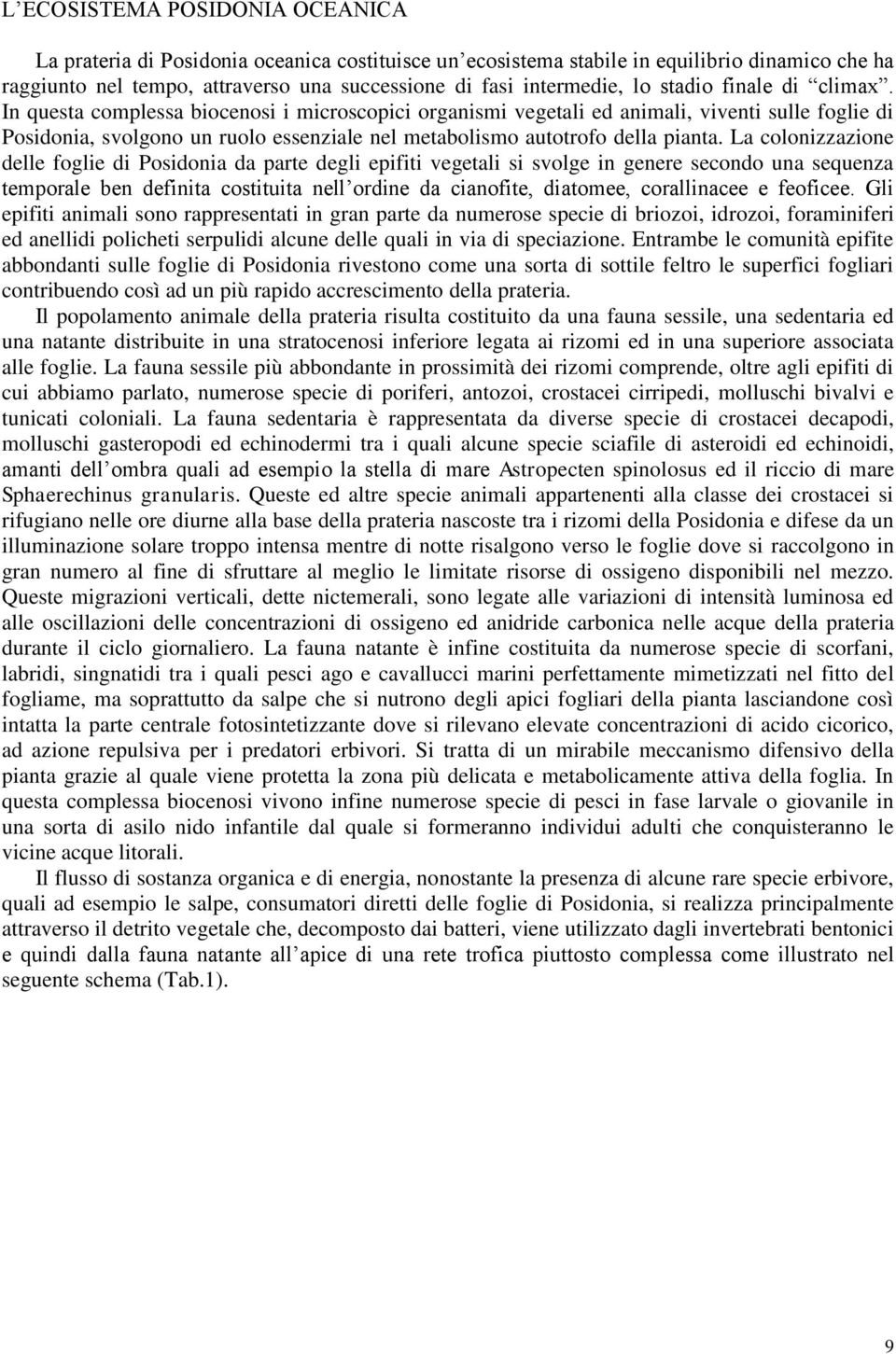 In questa complessa biocenosi i microscopici organismi vegetali ed animali, viventi sulle foglie di Posidonia, svolgono un ruolo essenziale nel metabolismo autotrofo della pianta.