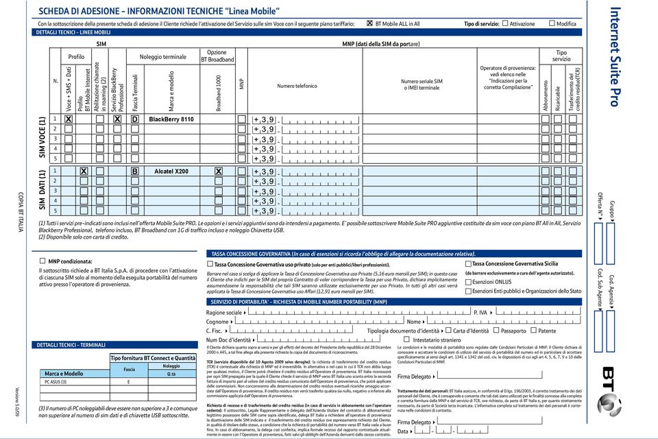 Voce + SMS + Dati Profilo SIM Profilo BT Mobile Internet Abilitazione chiamate in roaming (2) Servizio BlackBerry Professional Fascia Terminali Noleggio terminale Marca e modello Opzione BT Broadband