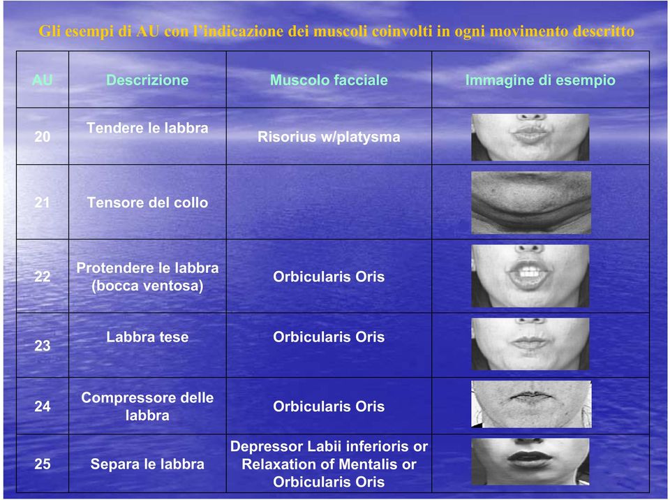 Protendere le labbra (bocca ventosa) Orbicularis Oris 23 Labbra tese Orbicularis Oris 24 Compressore delle