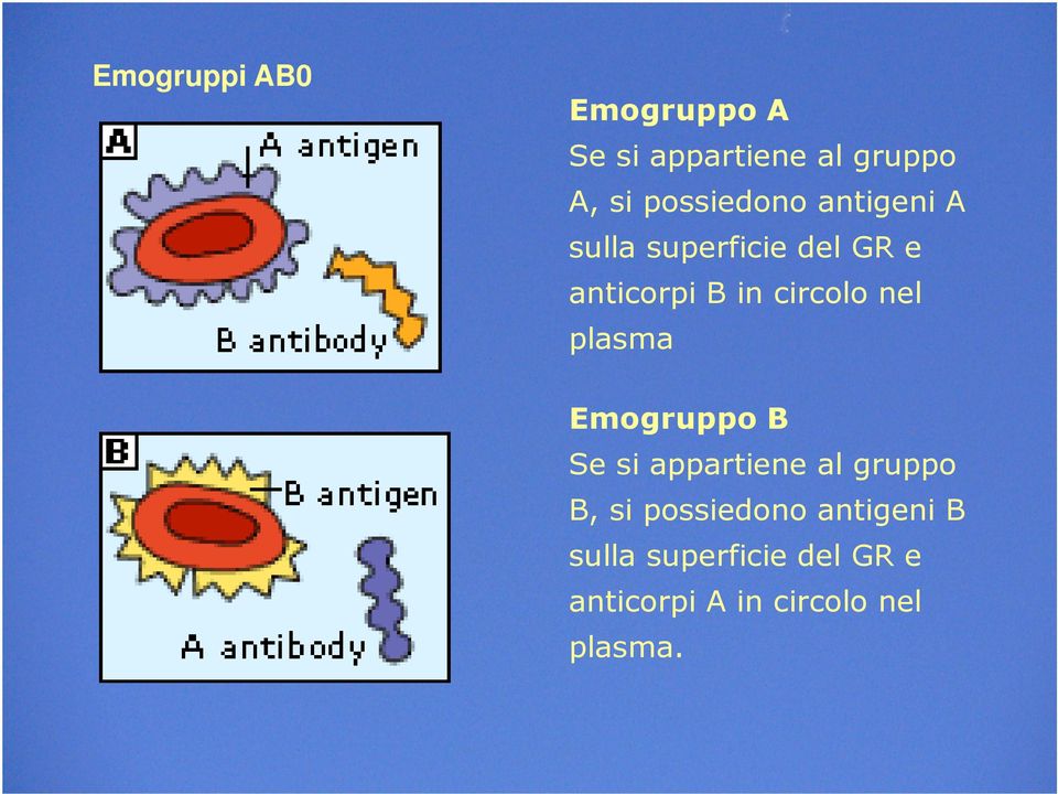 circolo nel plasma Emogruppo B Se si appartiene al gruppo B, si