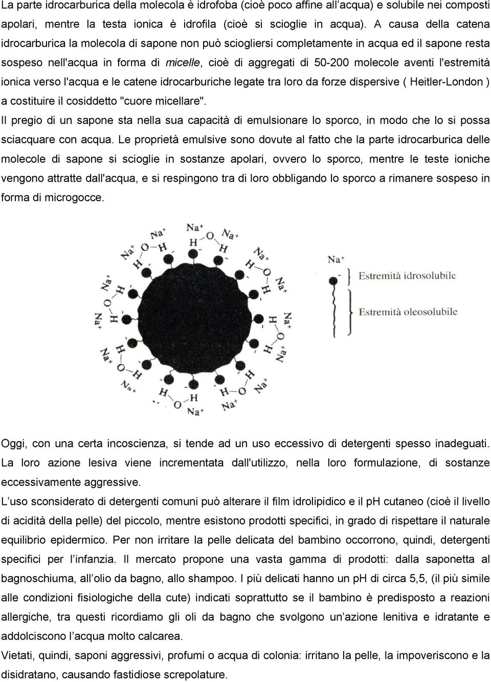 aventi l'estremità ionica verso l'acqua e le catene idrocarburiche legate tra loro da forze dispersive ( Heitler-London ) a costituire il cosiddetto "cuore micellare".