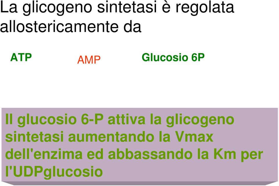 glucosio 6-P attiva la glicogeno sintetasi