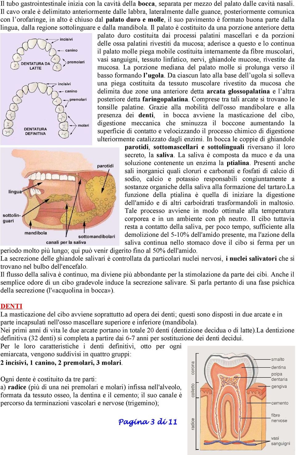 parte dalla lingua, dalla regione sottolinguare e dalla mandibola.