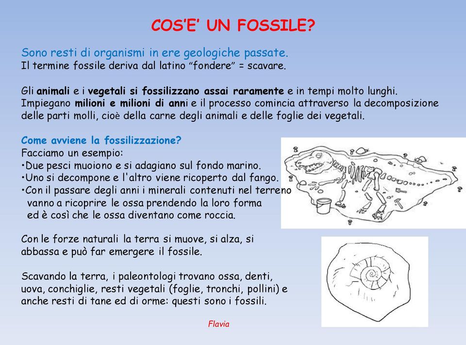 Impiegano milioni e milioni di anni e il processo comincia attraverso la decomposizione delle parti molli, cioè della carne degli animali e delle foglie dei vegetali. Come avviene la fossilizzazione?