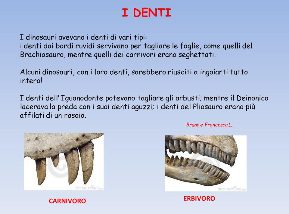 Alcuni dinosauri, con i loro denti, sarebbero riusciti a ingoiarti tutto intero!