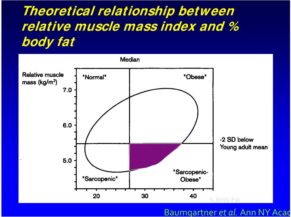 index and % body fat % Body