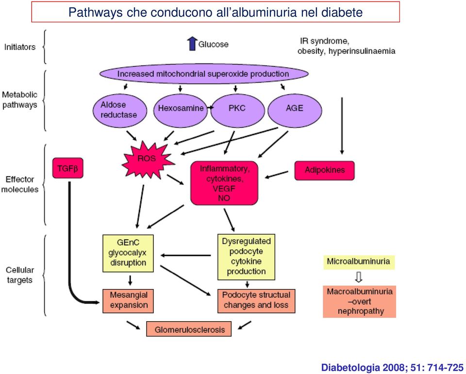 albuminuria nel