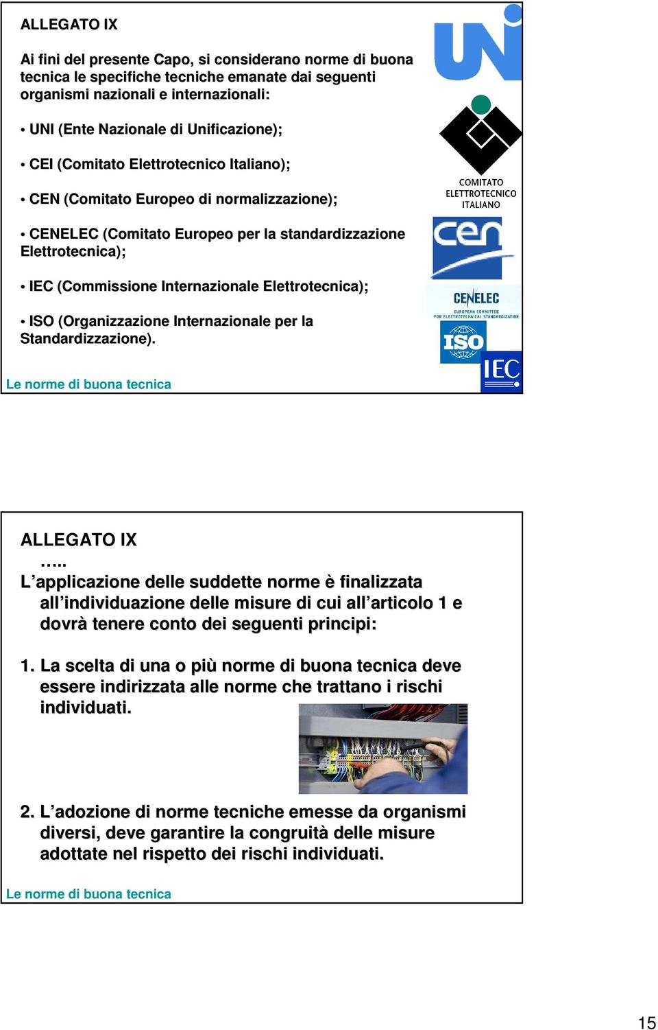 ISO (Organizzazione Internazionale per la Standardizzazione). Le norme di buona tecnica ALLEGATO IX.