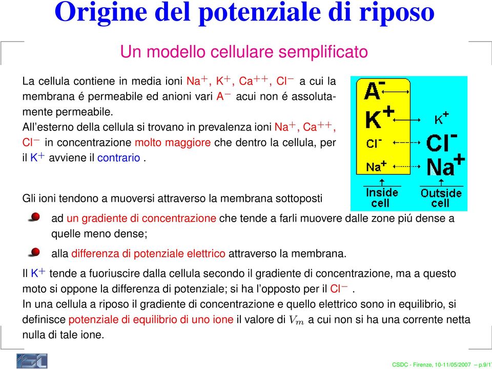 Gli ioni tendono a muoversi attraverso la membrana sottoposti ad un gradiente di concentrazione che tende a farli muovere dalle zone piú dense a quelle meno dense; alla differenza di potenziale