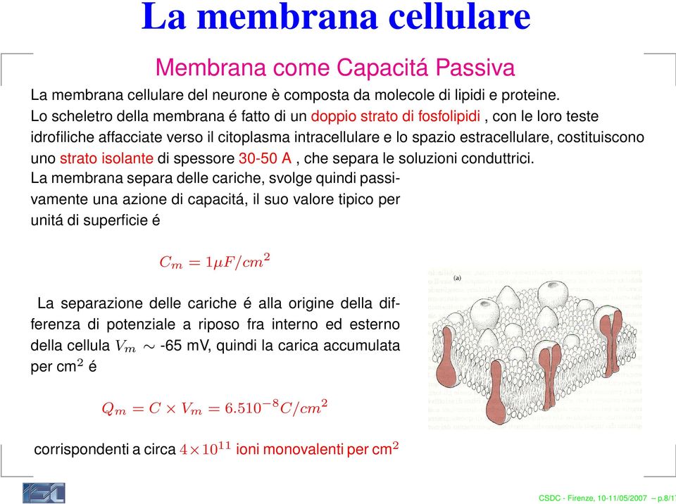 strato isolante di spessore 30-50 A, che separa le soluzioni conduttrici.