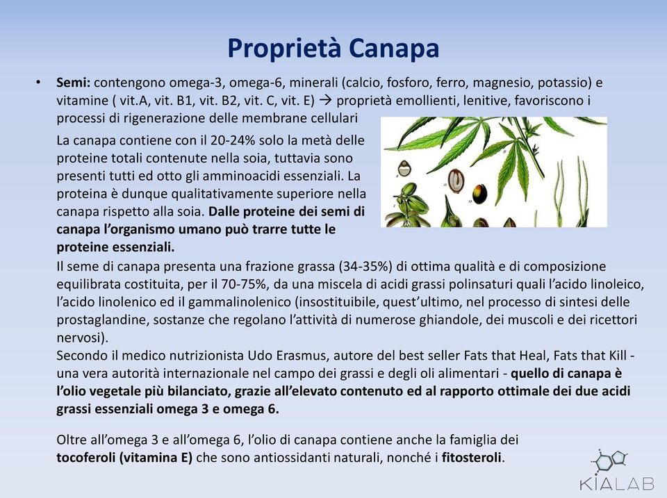 sono presenti tutti ed otto gli amminoacidi essenziali. La proteina è dunque qualitativamente superiore nella canapa rispetto alla soia.