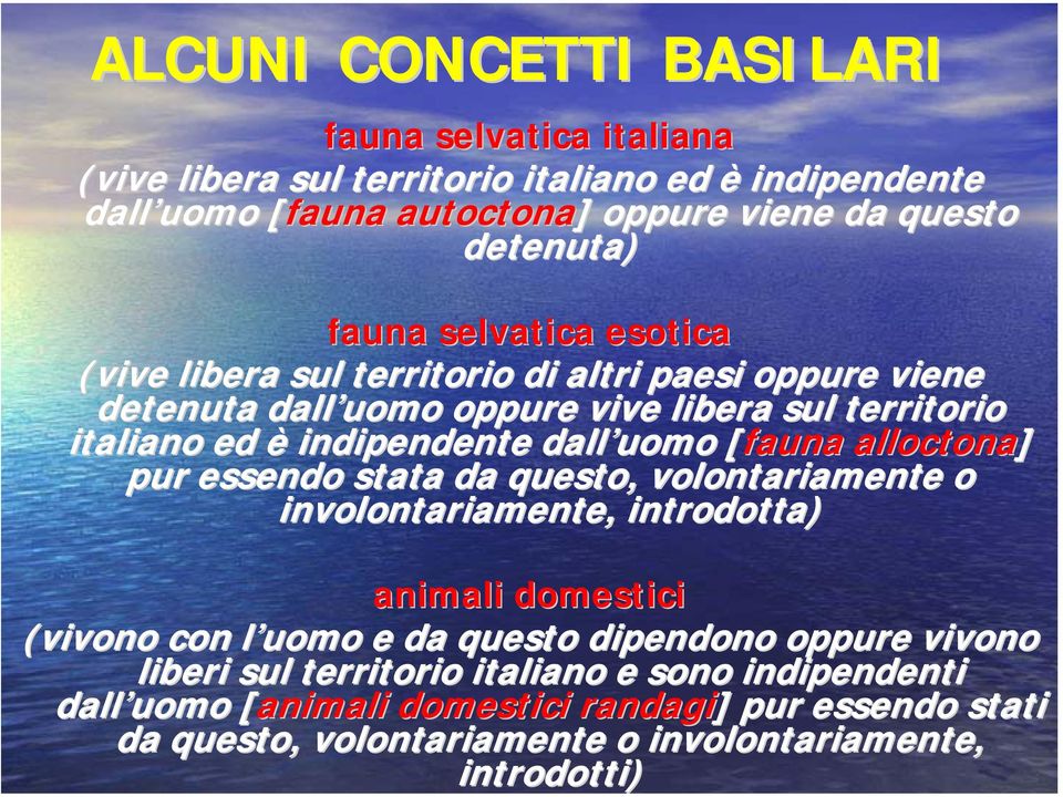 [fauna[ alloctona] pur essendo stata da questo, volontariamente o involontariamente, introdotta) animali domestici (vivono con l uomo l e da questo dipendono oppure