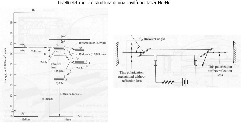 struttura di