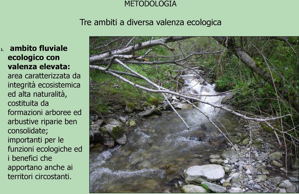 ecosistemica ed alta naturalità, costituita da formazioni arboree ed arbustive