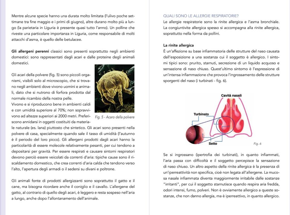 Gli allergeni perenni classici sono presenti soprattutto negli ambienti domestici: sono rappresentati dagli acari e dalle proteine degli animali domestici. Gli acari della polvere (fig.