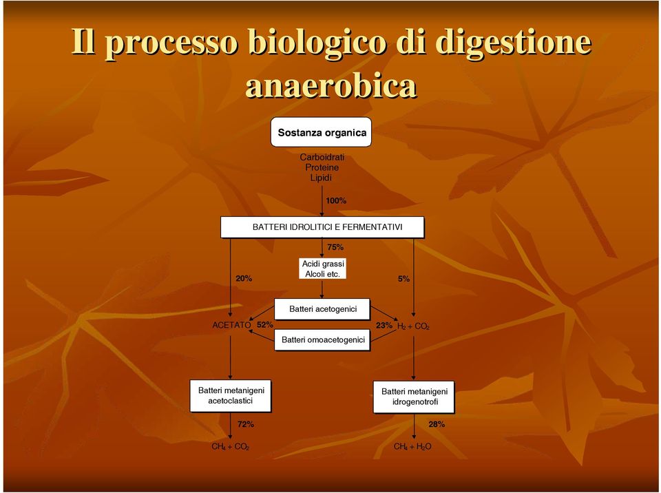 etc. 5% ACETATO 52% Batteri acetogenici Batteri omoacetogenici 23% H 2 + CO 2