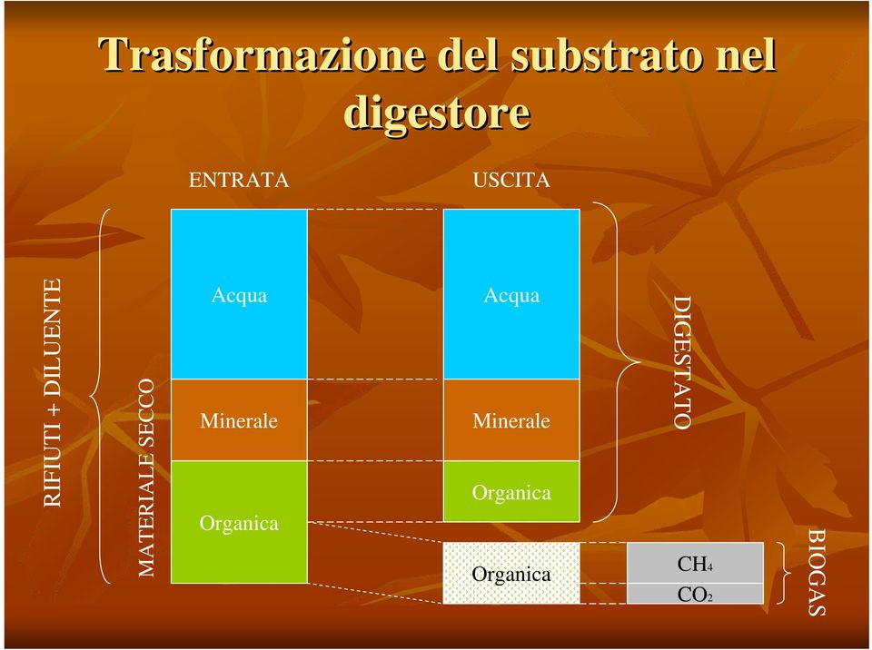 SECCO Acqua Minerale Organica Acqua