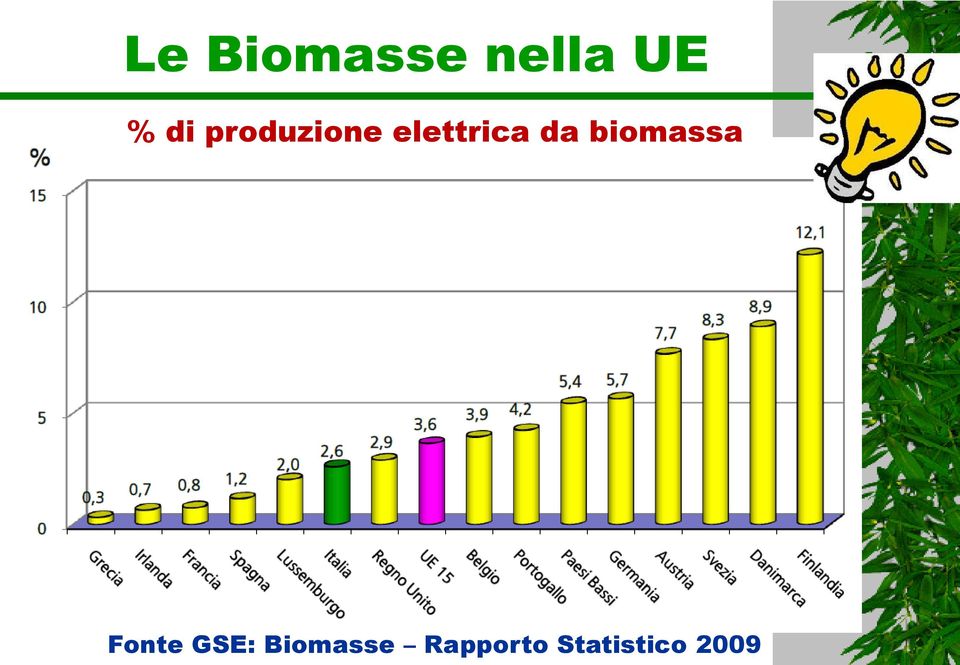 biomassa Fonte GSE: