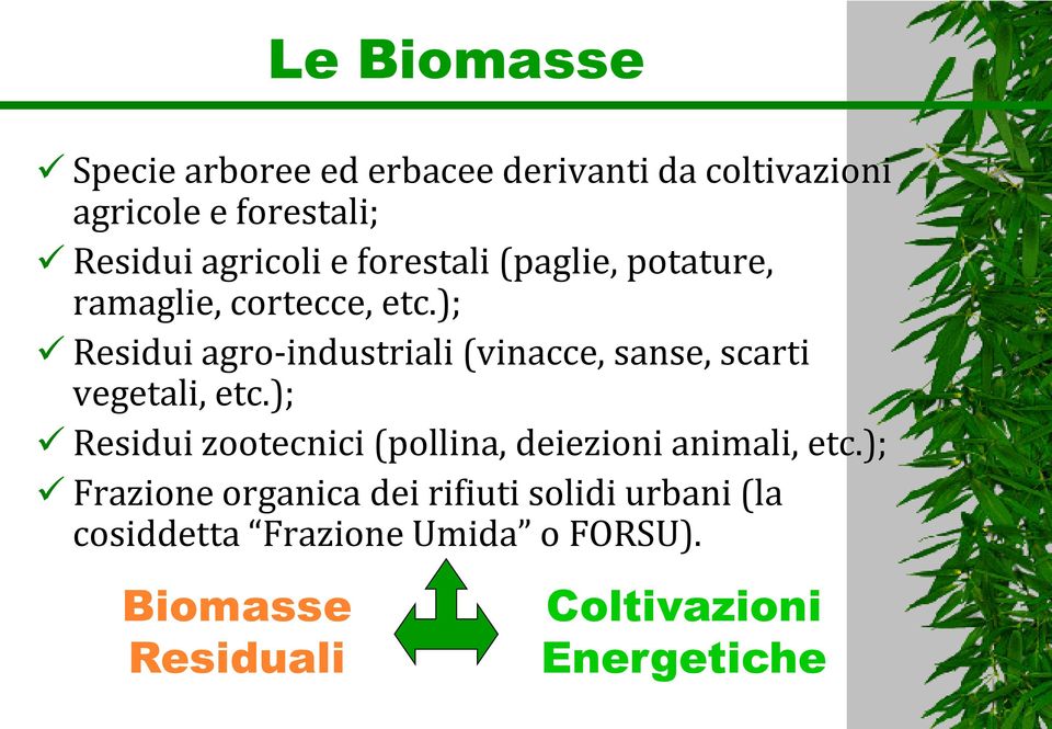 ); Residui agro-industriali (vinacce, sanse, scarti vegetali, etc.