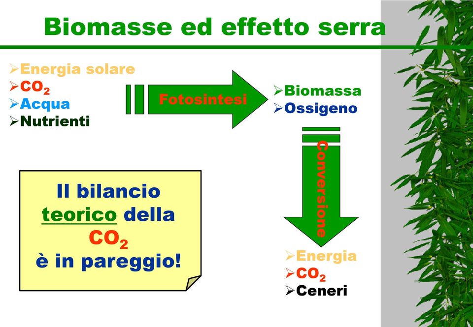 Ossigeno Il bilancio teorico della CO 2 è