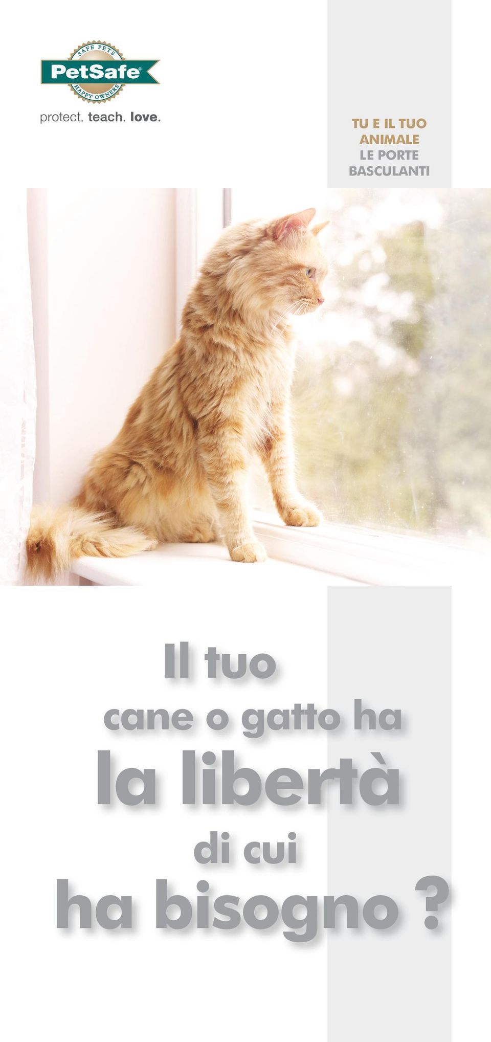 tuo cane o gatto ha la