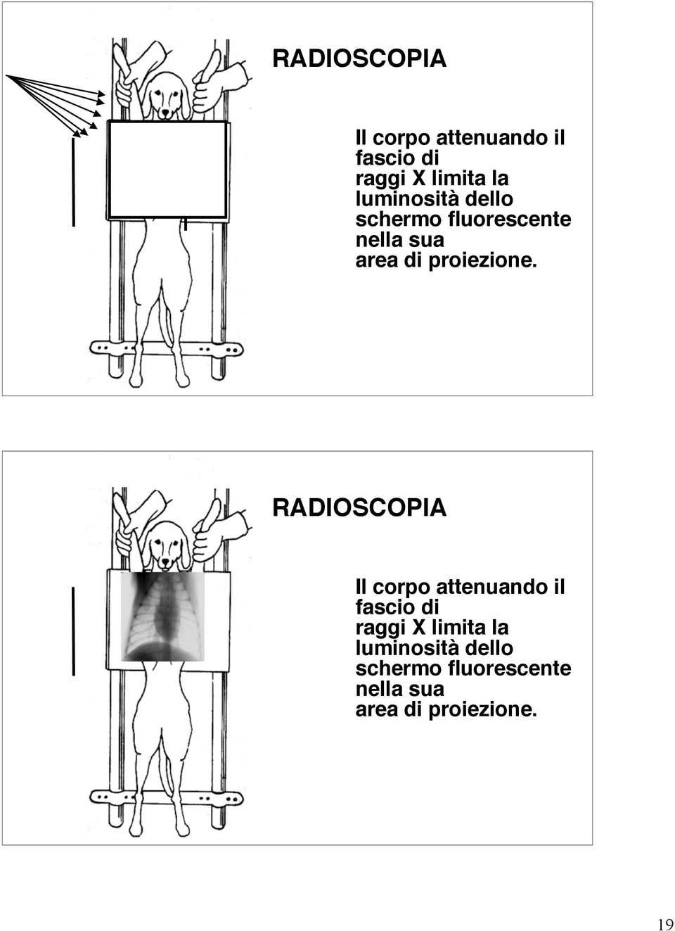 proiezione.   proiezione. 19