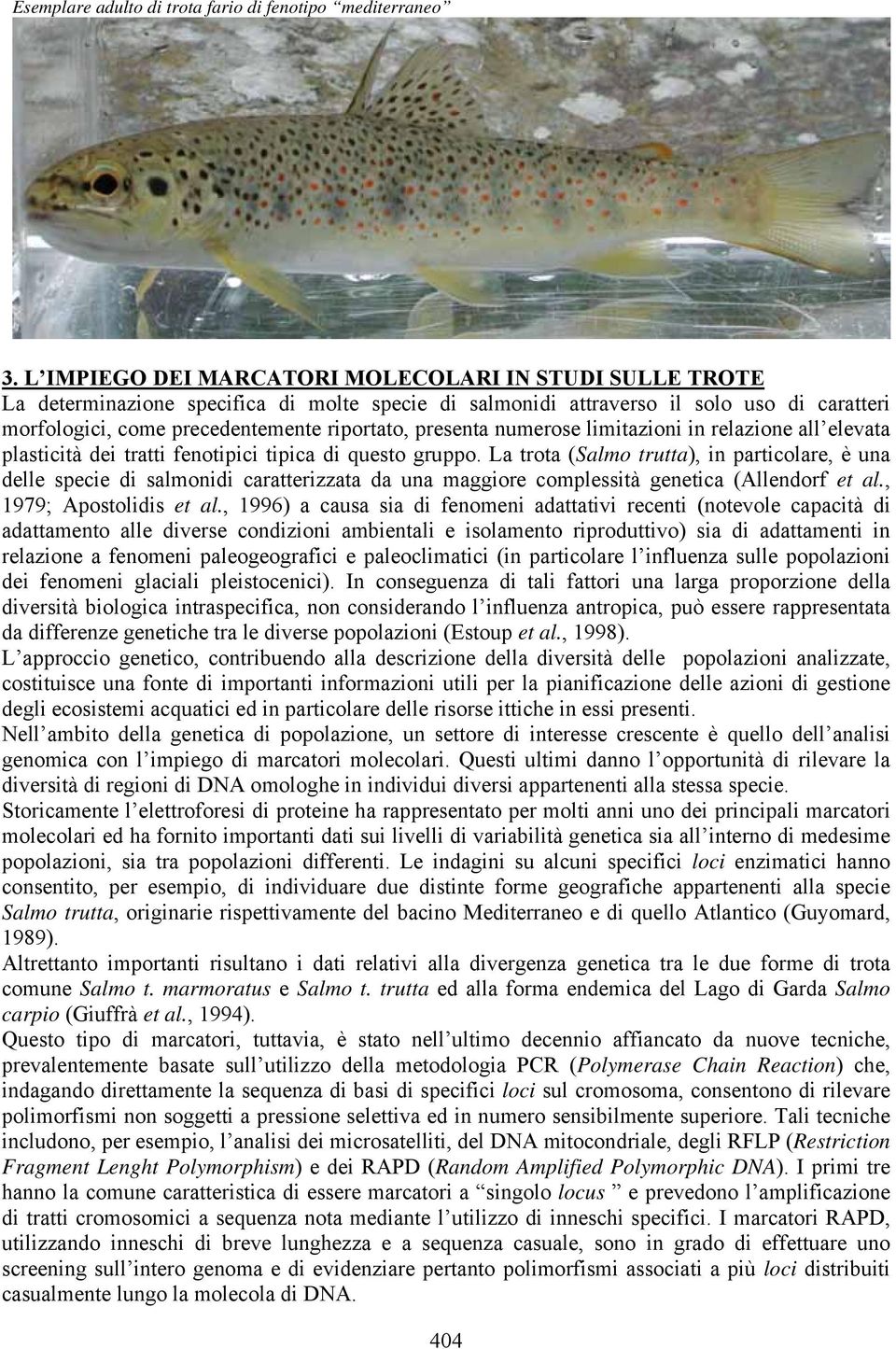 presenta numerose limitazioni in relazione all elevata plasticità dei tratti fenotipici tipica di questo gruppo.