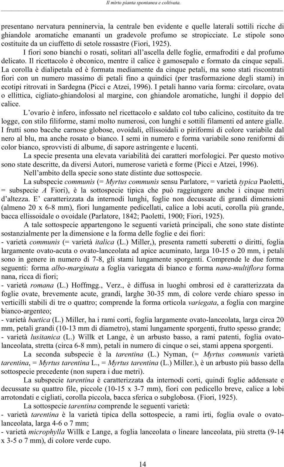 Il ricettacolo è obconico, mentre il calice è gamosepalo e formato da cinque sepali.