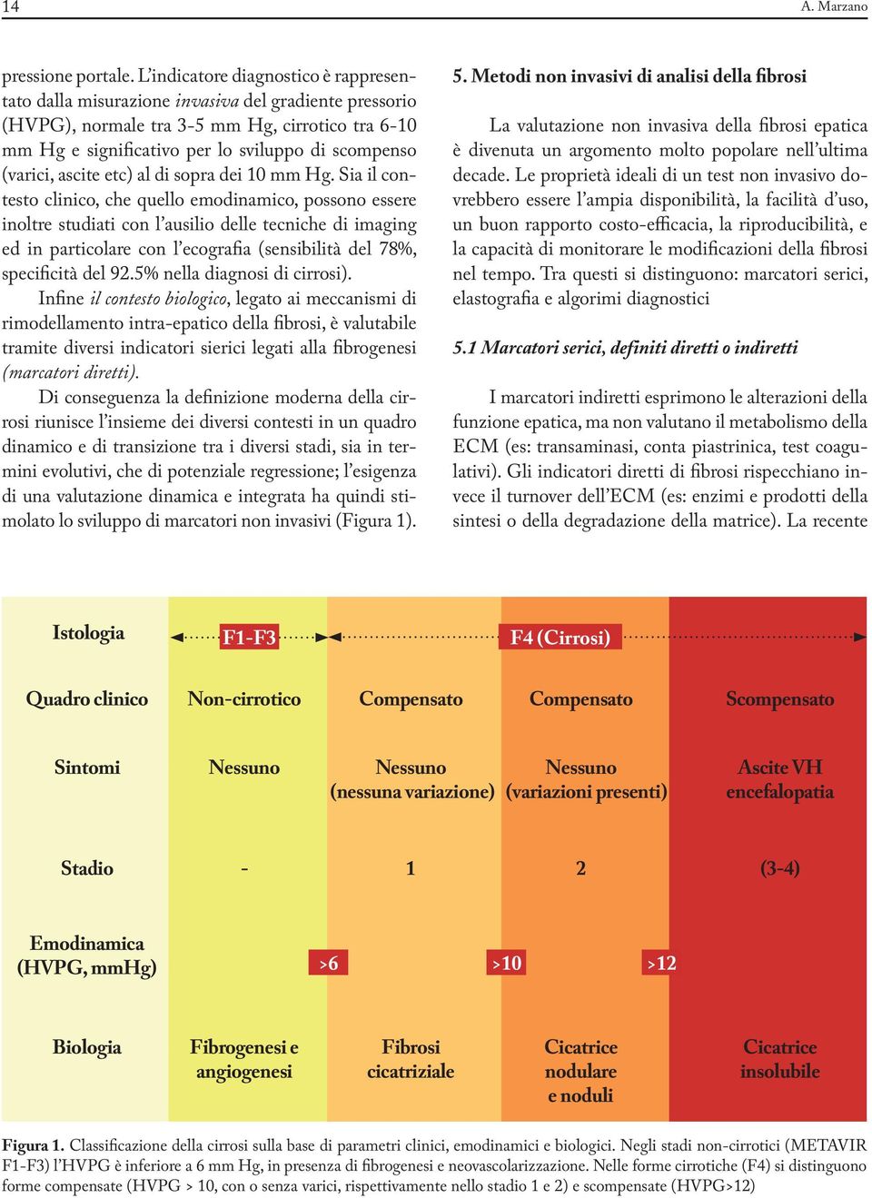 (varici, ascite etc) al di sopra dei 10 mm Hg.