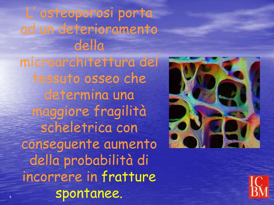 una maggiore fragilità scheletrica con conseguente