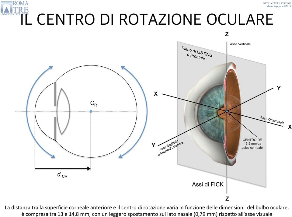 anteriore e il centro di rotazione varia in funzione delle dimensioni del bulbo oculare, è