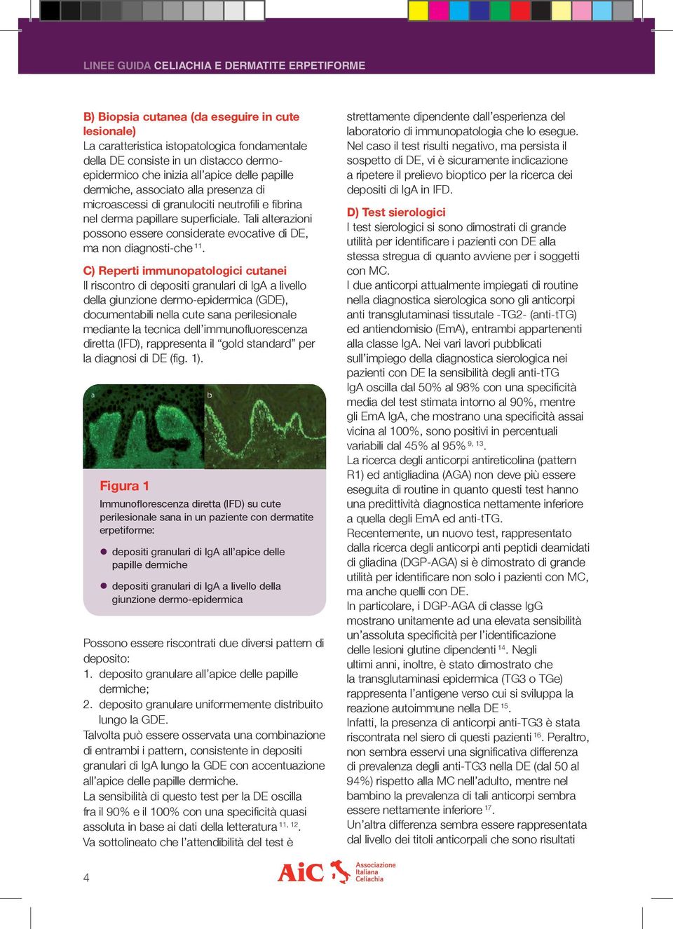 C) Reperti immunopatologici cutanei Il riscontro di depositi granulari di IgA a livello della giunzione dermo-epidermica (GDE), documentabili nella cute sana perilesionale mediante la tecnica dell